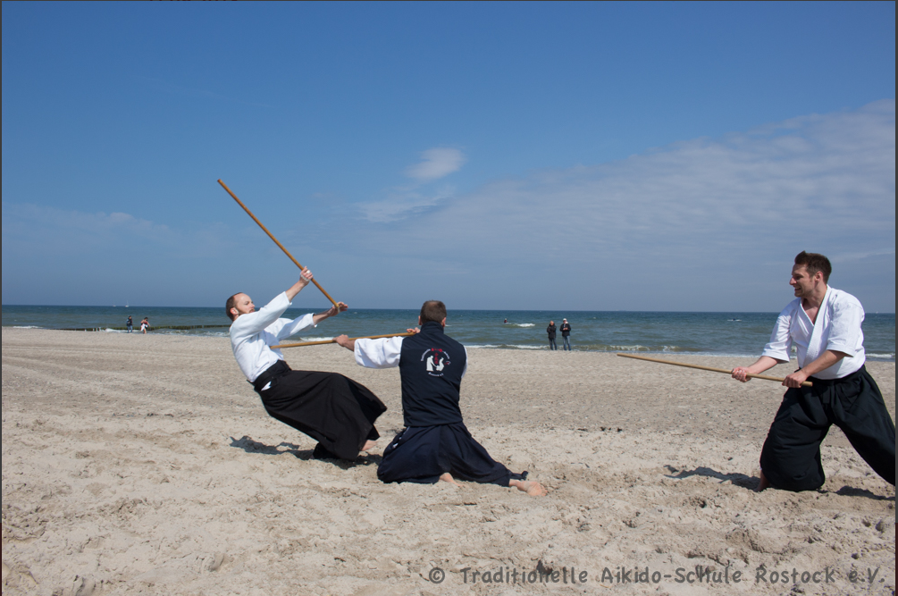 Die Dojoweste – Bild 3